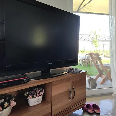 Case de vacanță Minimal House